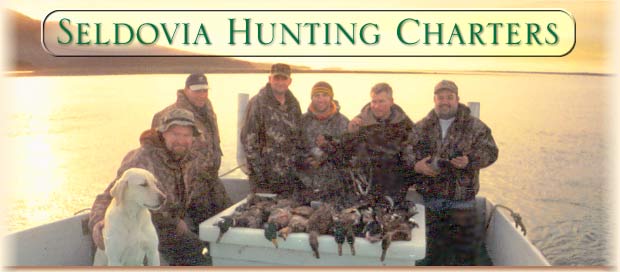 alaska sea duck hunting guides