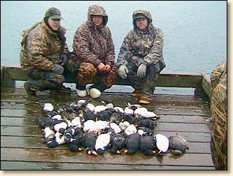 sea duck hunting